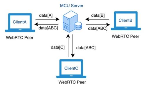 手把手教你使用WebRTC网络技术开发